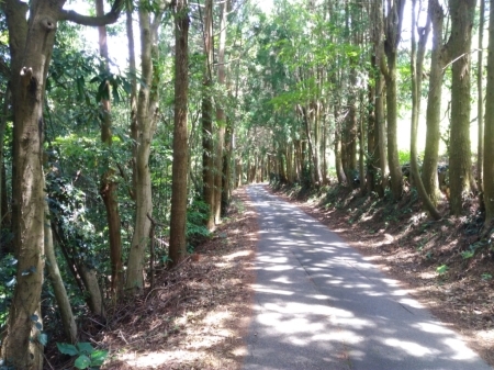 a0300410_21541240.jpg