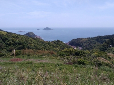 a0300410_21542425.jpg