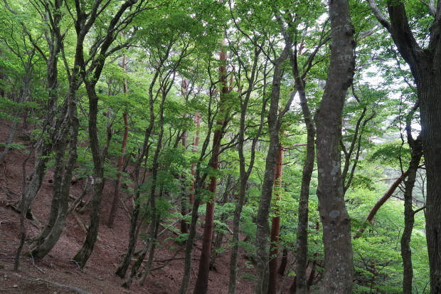 d0103314_22561970.jpg