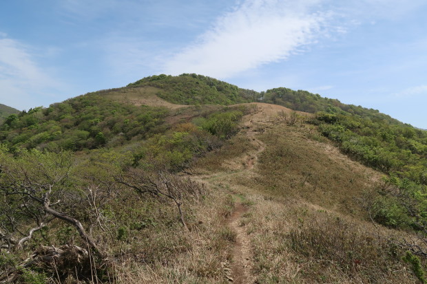 d0103314_22565584.jpg