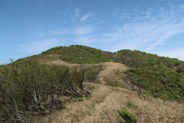 d0103314_22593000.jpg