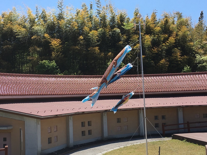 大山椒魚 百留ななみ 南の魚座 福岡短歌日乗 大山椒魚 百留ななみ 南の魚座 福岡短歌日乗