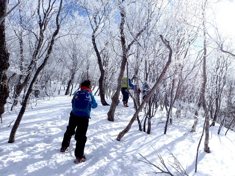 霧氷の赤城山_a0165316_16584915.jpg