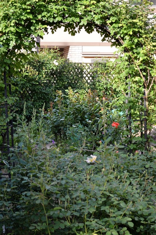 d0096422_97285.jpg