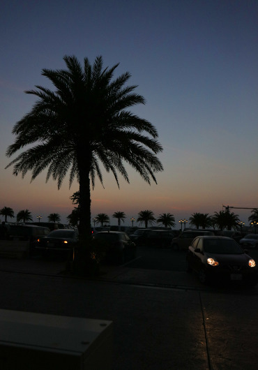 b0310424_12231584.jpg