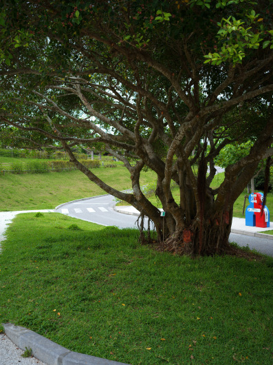 b0310424_20463782.jpg