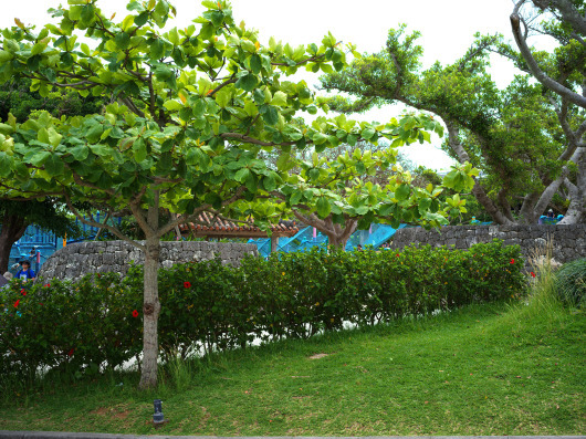 b0310424_20464133.jpg