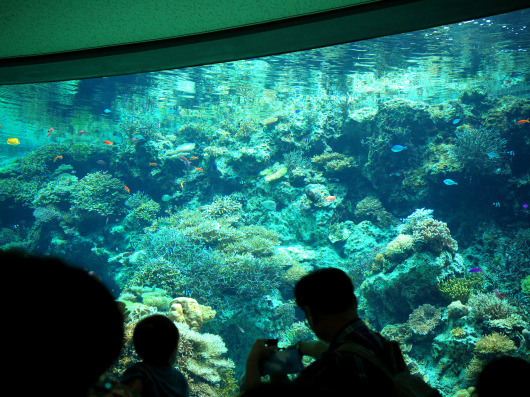 b0310424_20471570.jpg