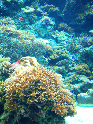 b0310424_20471683.jpg