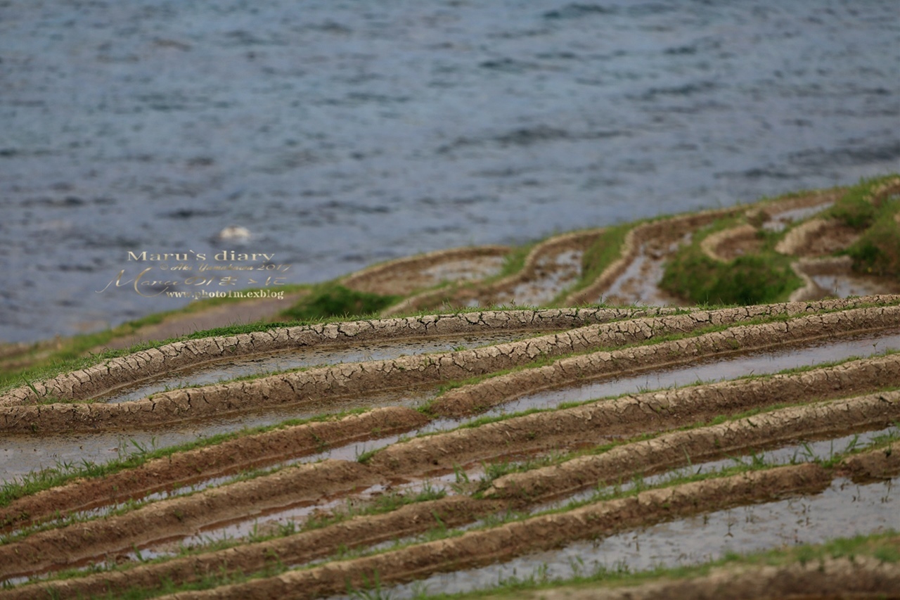 まゝに/能登半島一周/白米千枚田_d0342426_10494952.jpg