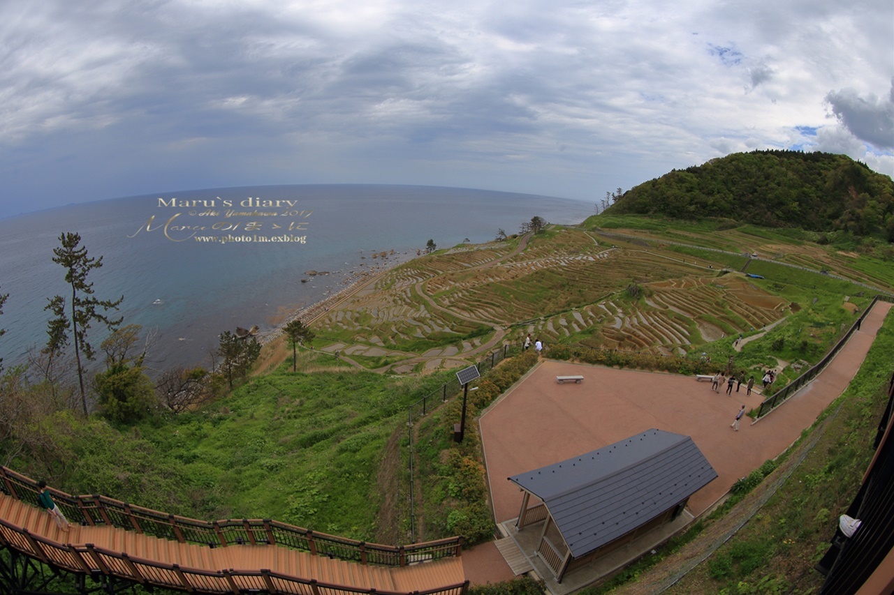 まゝに/能登半島一周/白米千枚田_d0342426_10501240.jpg