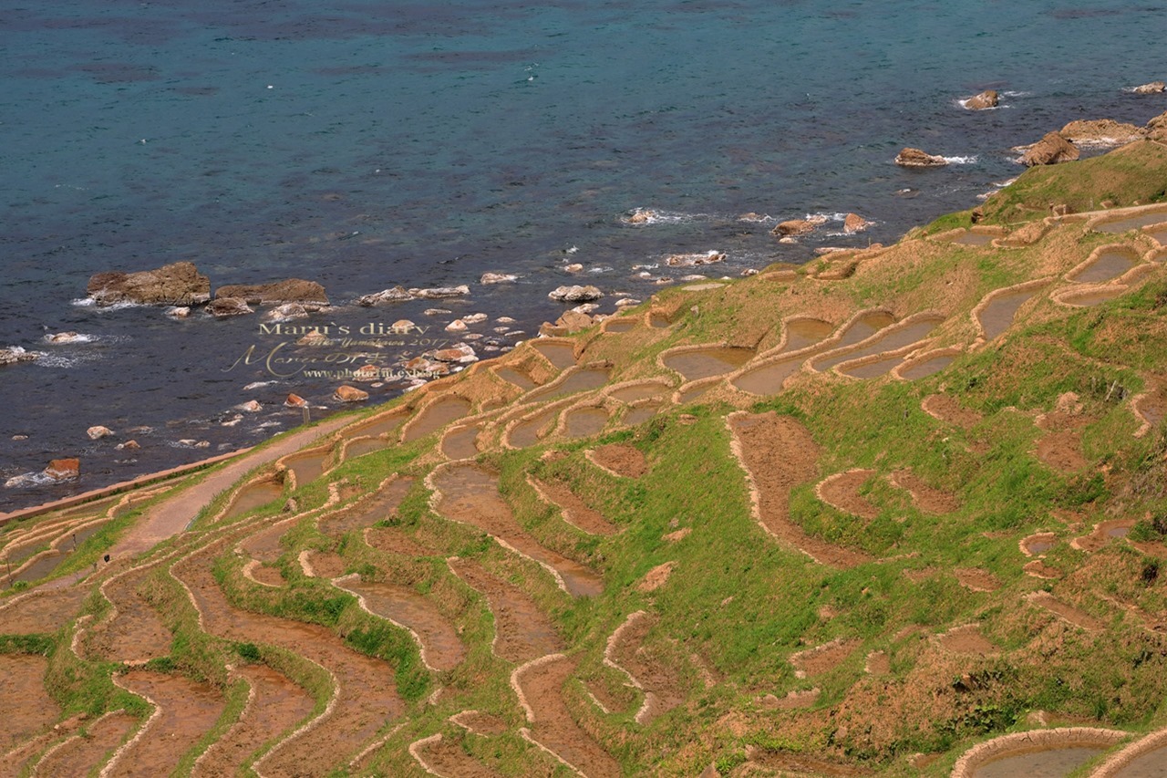 まゝに/能登半島一周/白米千枚田_d0342426_10595184.jpg