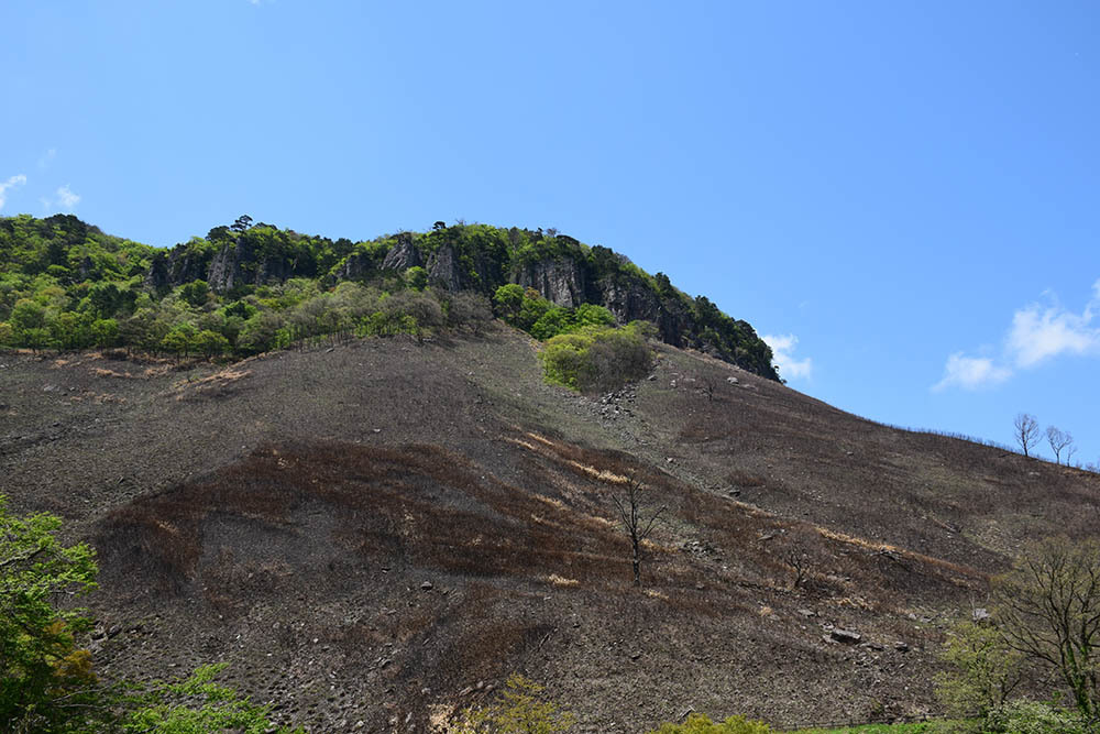 e0158128_17385718.jpg