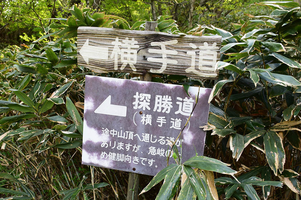 e0158128_17514721.jpg