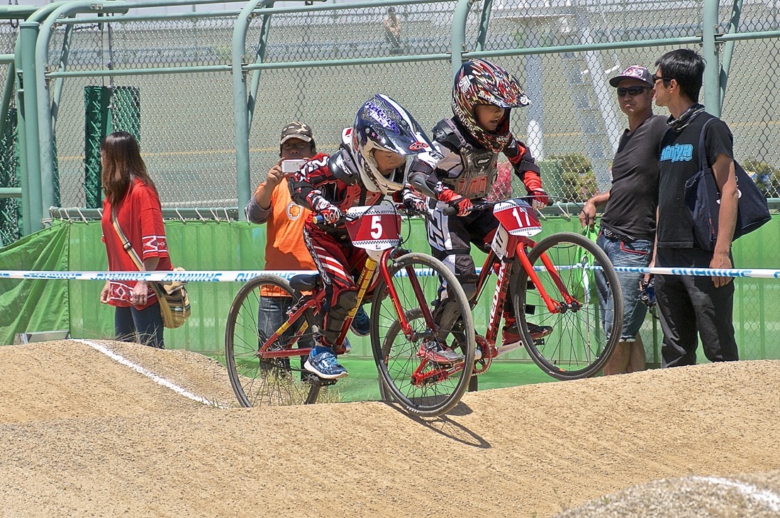 ２０１７JBMXF第２戦大阪・岸和田大会　VOL9：予選その２_b0065730_22192450.jpg