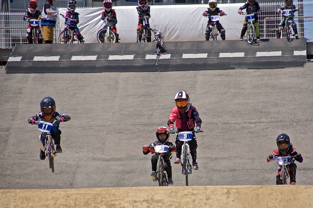 ２０１７JBMXF第２戦大阪・岸和田大会　VOL9：予選その２_b0065730_22215133.jpg