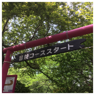d0268536_724063.png
