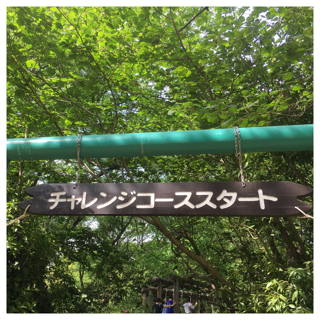 d0268536_725740.png