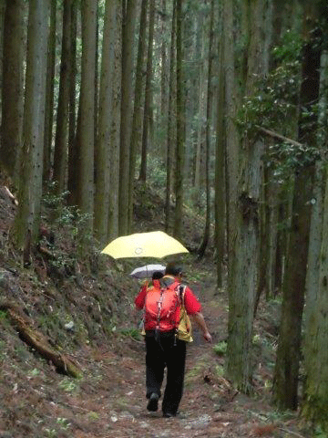 e0371039_18423757.gif