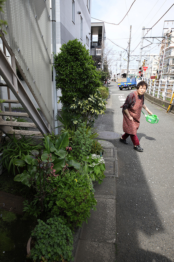 サクラチル 等々力渓谷 - ゴミの日の朝に _c0035245_13214185.jpg