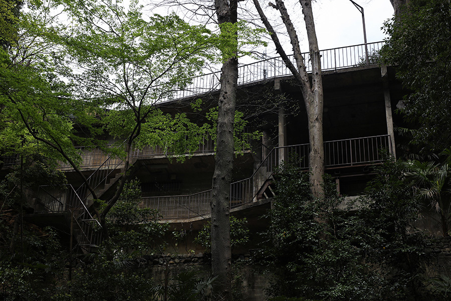 サクラチル 等々力渓谷 - ゴミの日の朝に _c0035245_14462856.jpg