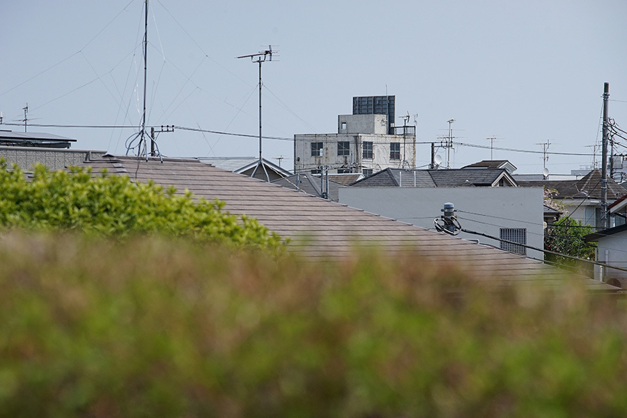 サクラチル 等々力渓谷 - ゴミの日の朝に _c0035245_15023302.jpg
