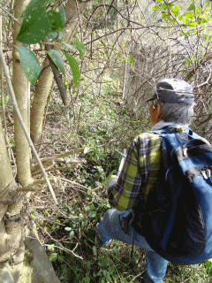 e0033751_1037772.gif