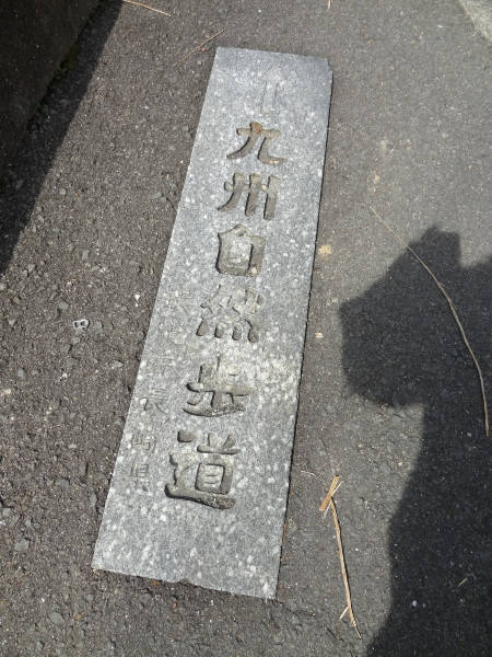 e0033751_103931.jpg