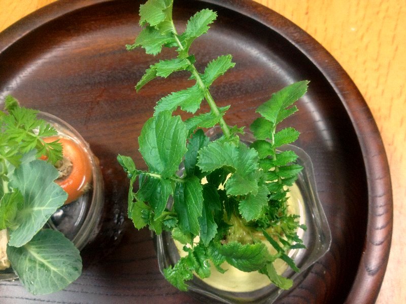 ☆まるで寄せ植えの鉢のように楽しい☆_c0092953_6325087.jpg