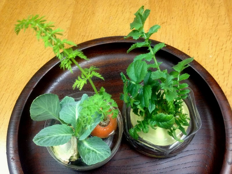 ☆まるで寄せ植えの鉢のように楽しい☆_c0092953_6325595.jpg