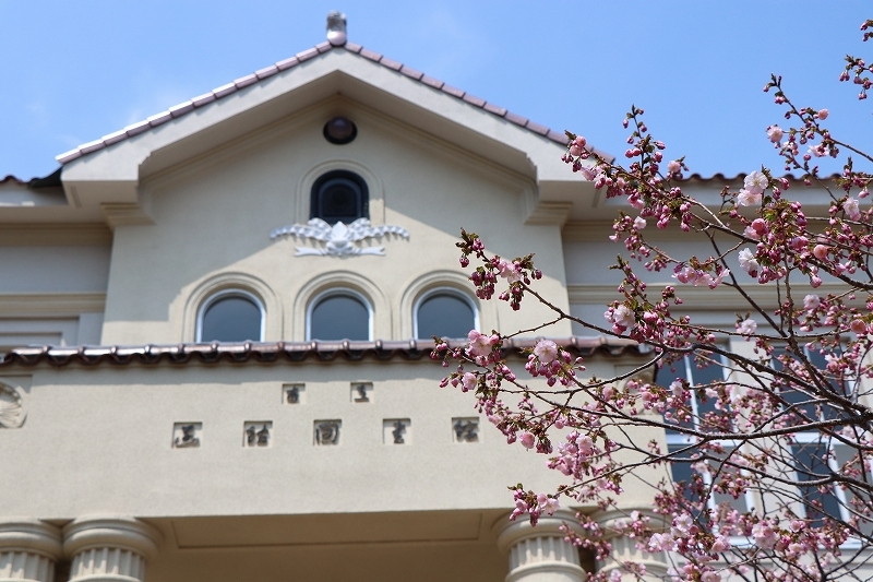 4月30日 函館公園から住吉漁港へ 1 そよ風のように 4月30日 函館公園から住吉漁港へ 1 そよ風のように