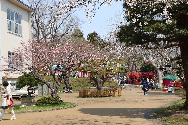 4月30日 函館公園から住吉漁港へ 1 そよ風のように 4月30日 函館公園から住吉漁港へ 1 そよ風のように