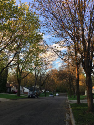 c0242063_7293549.jpg