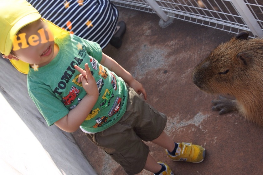 a0295764_00265964.jpeg