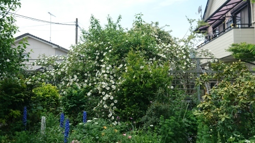 f0228967_22341269.jpg