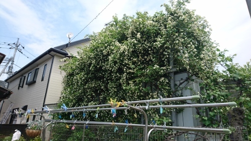 f0228967_22375019.jpg