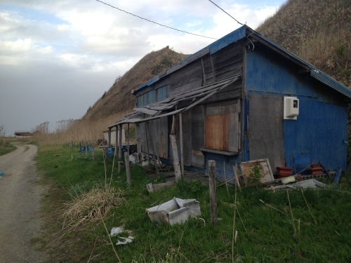 d0334768_21112666.jpeg