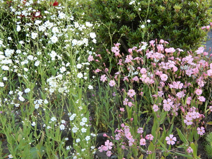 e0345868_09545713.jpg