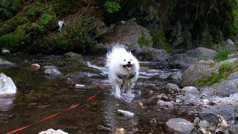 川だ！川だ！貸切だ！！_c0064678_11502054.jpg