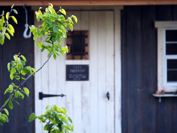 小屋の窓にペンキ塗り！ミルクペイントのヘンプベージュで可愛くなったよ。_c0224982_10305521.jpg