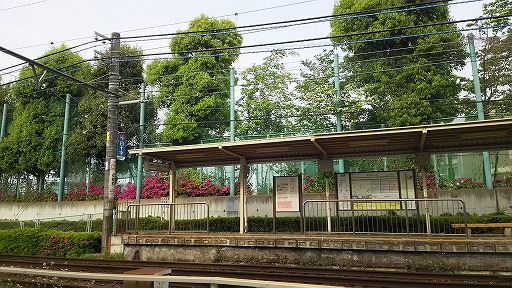 e0020682_2102169.jpg