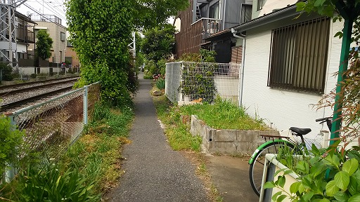 e0020682_215972.jpg