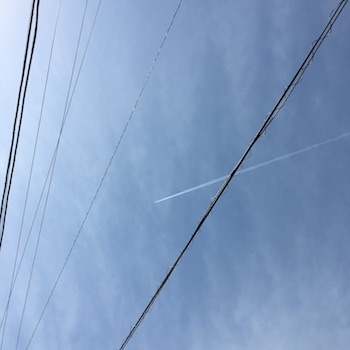 夏に向かって_a0191183_22224157.jpg