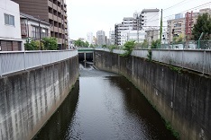 妙正寺川02-新井薬師_d0183387_14283834.jpg