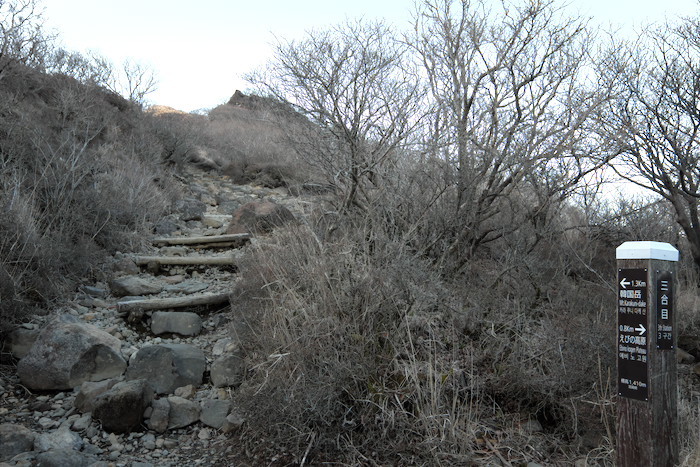 b0339488_19525464.jpg