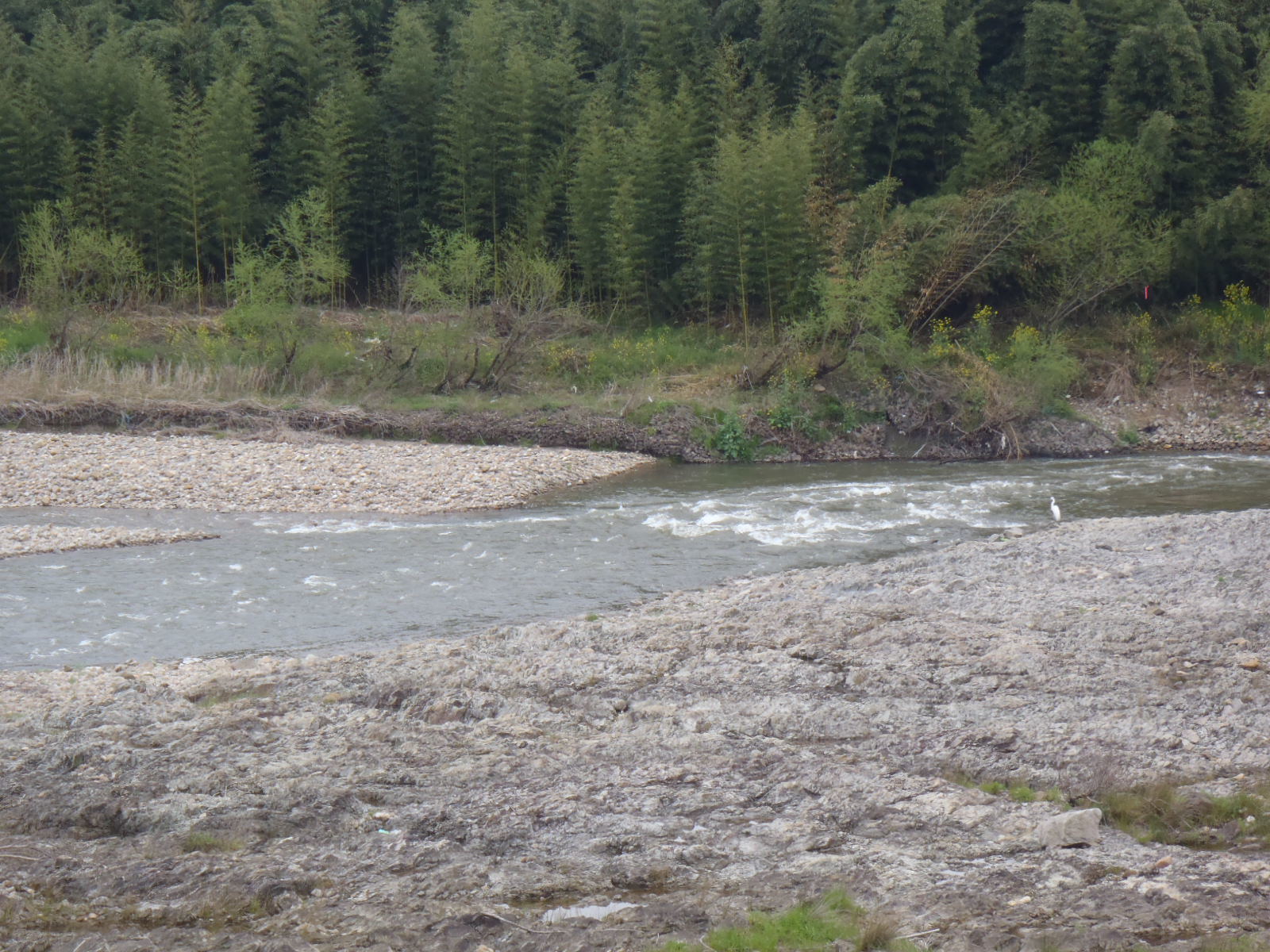 b0139489_20325258.jpg