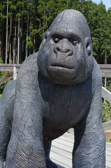 e0176993_06562364.jpg