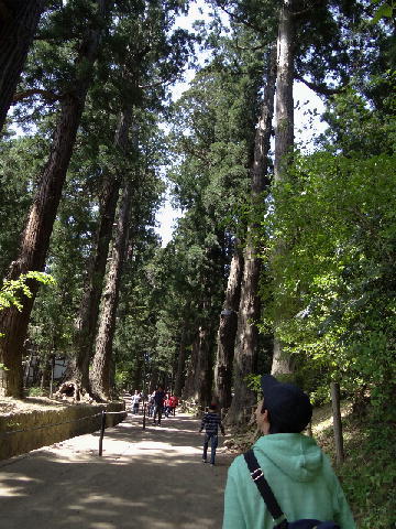 c0321294_10313245.jpg