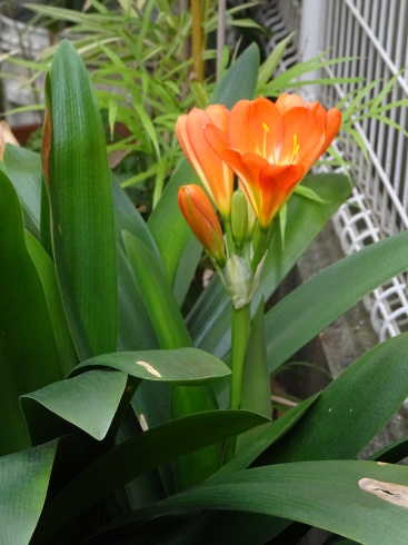 e0078900_22593042.jpg