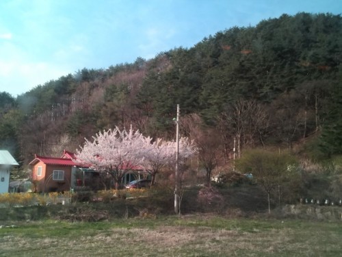 韓国お寺巡りの旅　⑪秘境にあるお寺　百潭寺（ペクタムサ）へ_a0140305_18563363.jpg